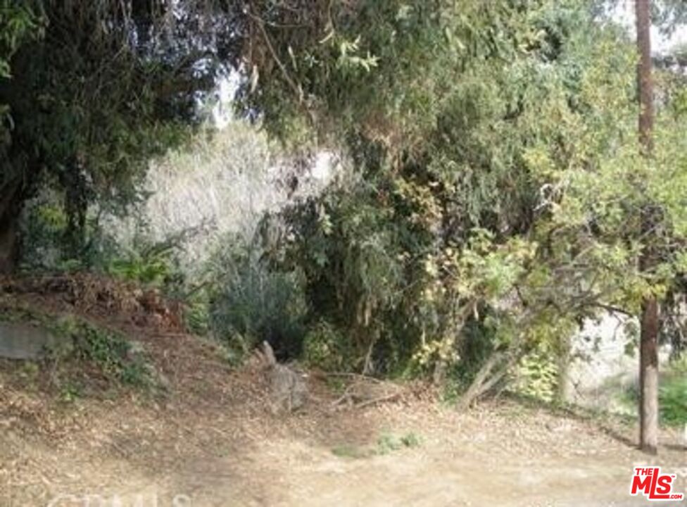 MLS #25610955 image #0