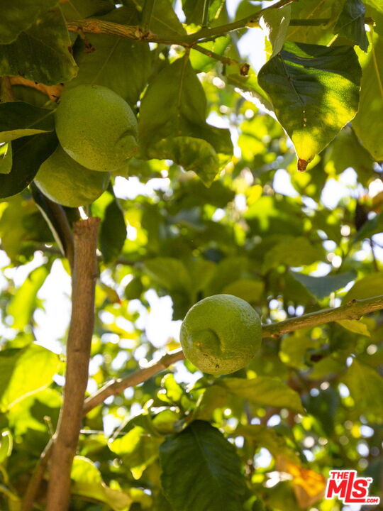 MLS #25613709 image #28