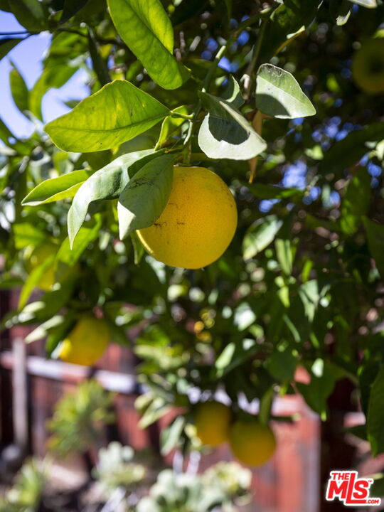 MLS #25613709 image #29