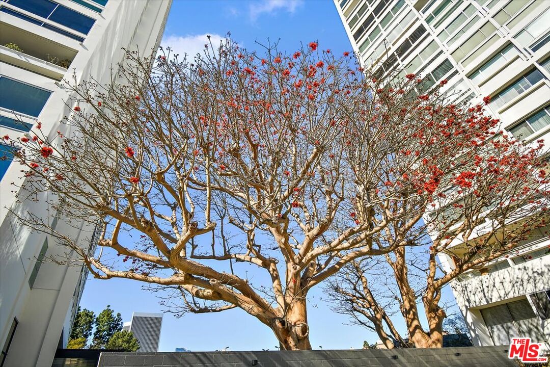 MLS #25614357 image #23