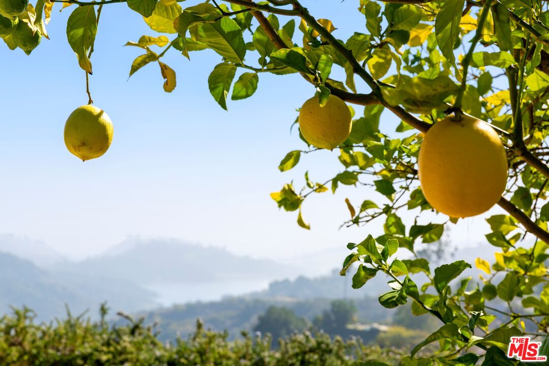 MLS #25614903 image #47