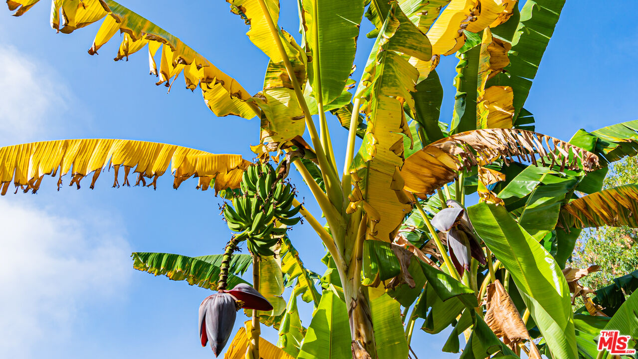 MLS #25616083 image #53