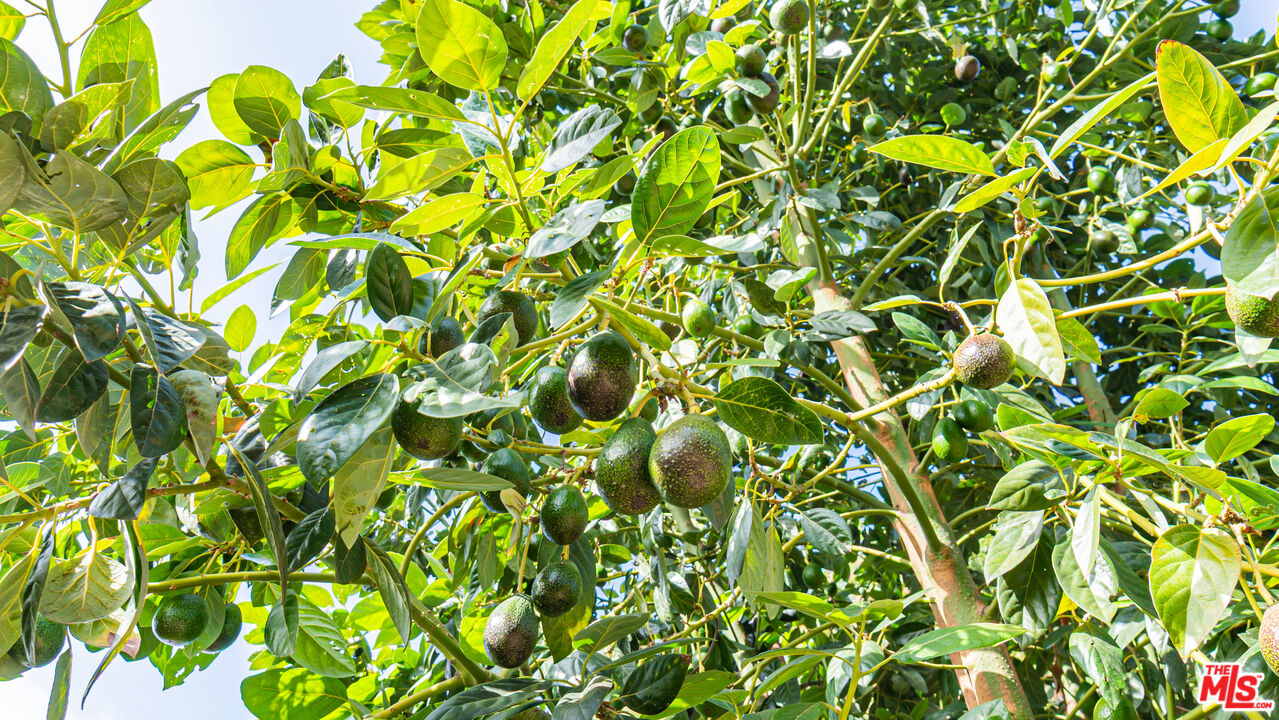 MLS #25616083 image #55