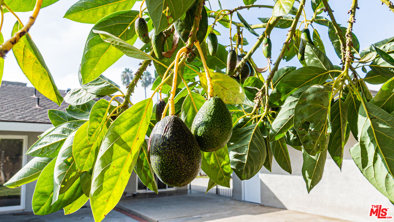 MLS #25616083 image #56