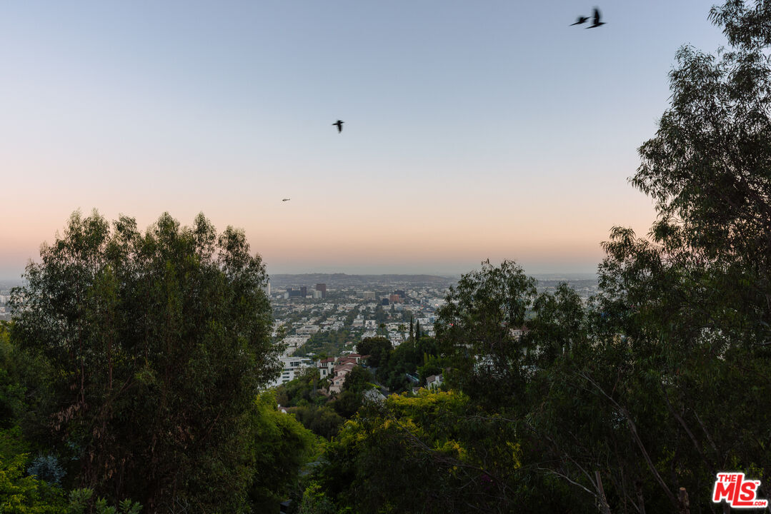 MLS #25617737 image #32