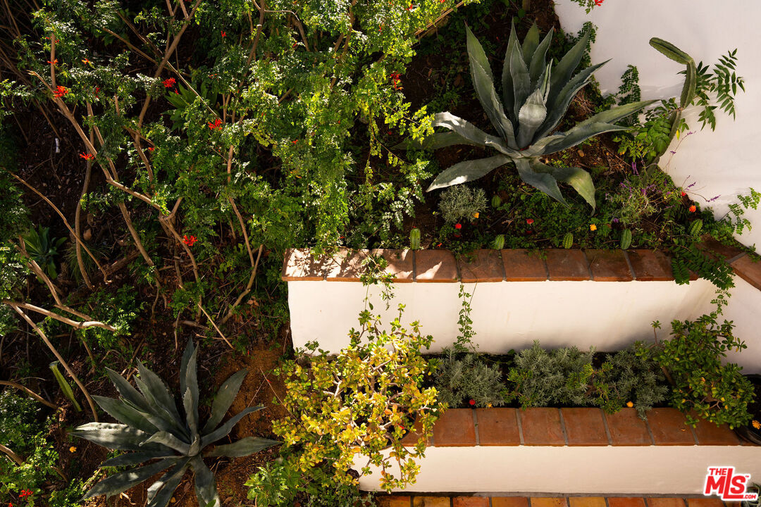 MLS #25618673 image #48