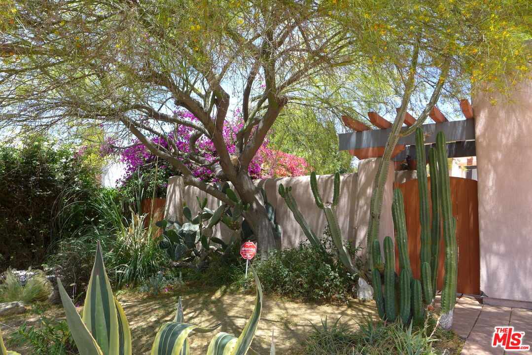 MLS #25618677 image #0