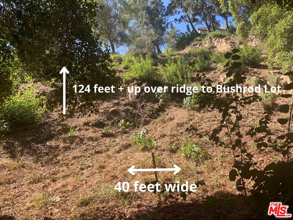 MLS #25619093 image #11