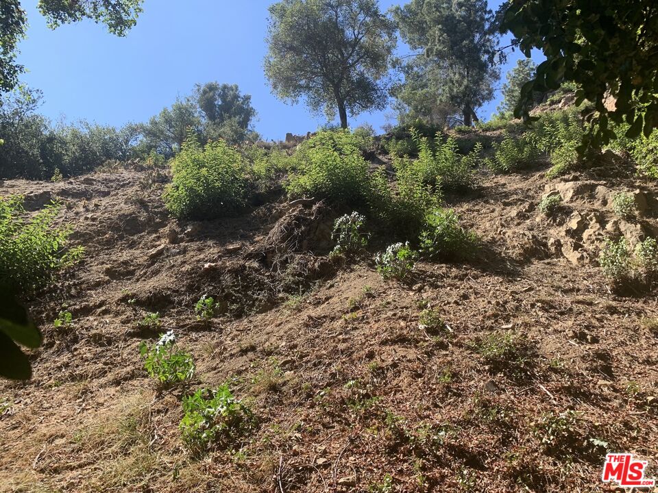 MLS #25619093 image #12