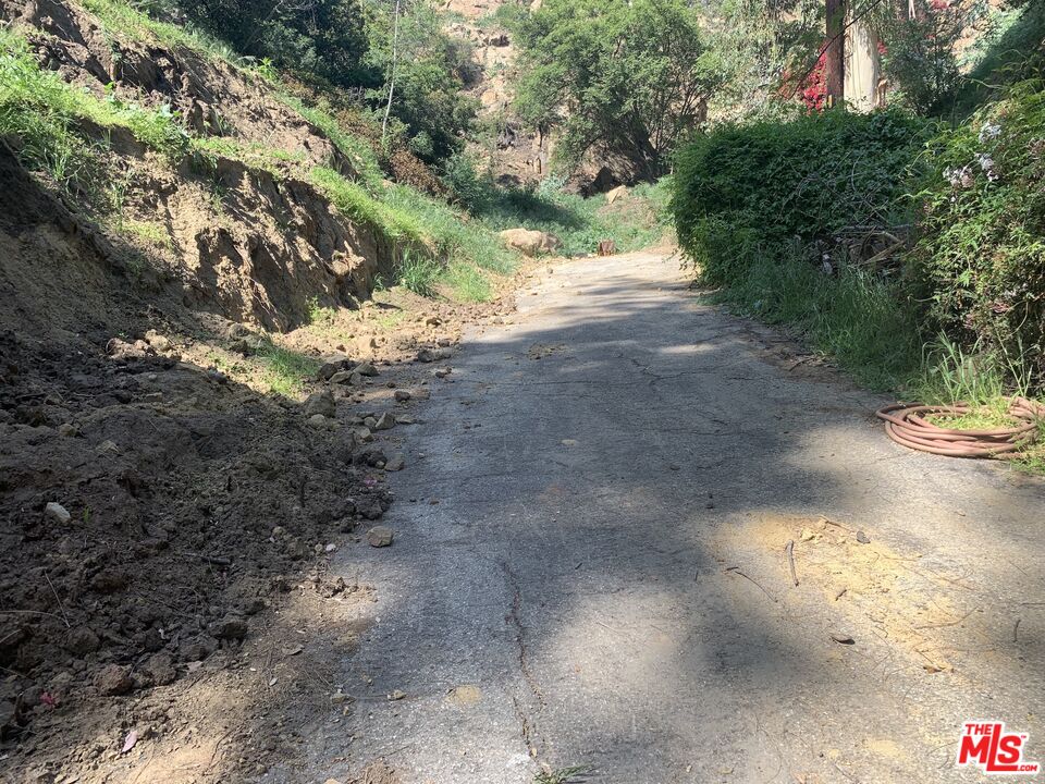 MLS #25619093 image #5