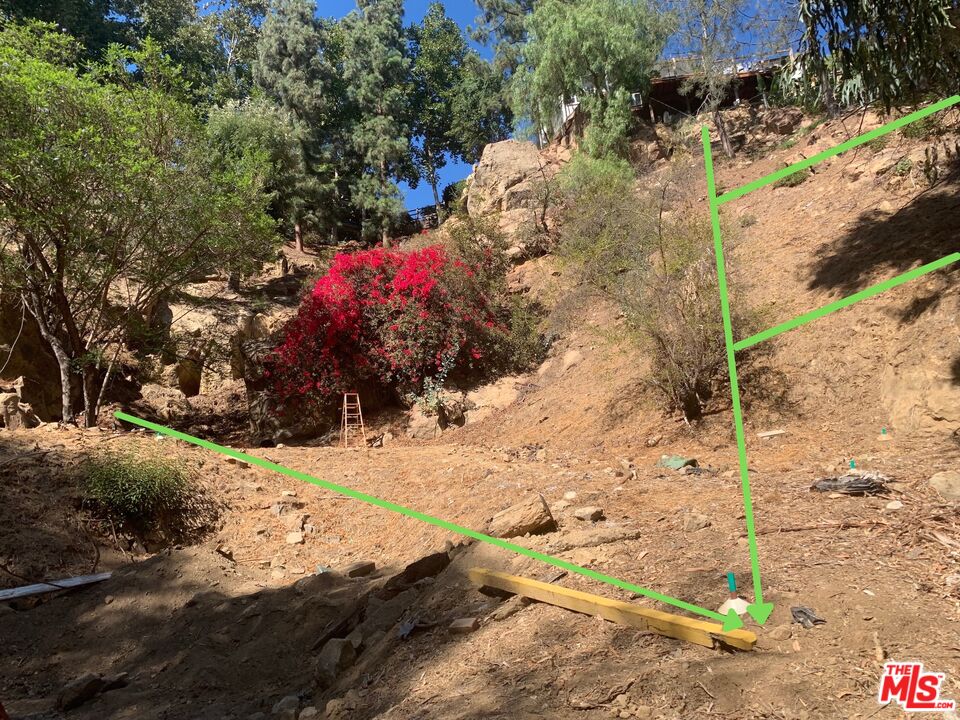 MLS #25619093 image #6