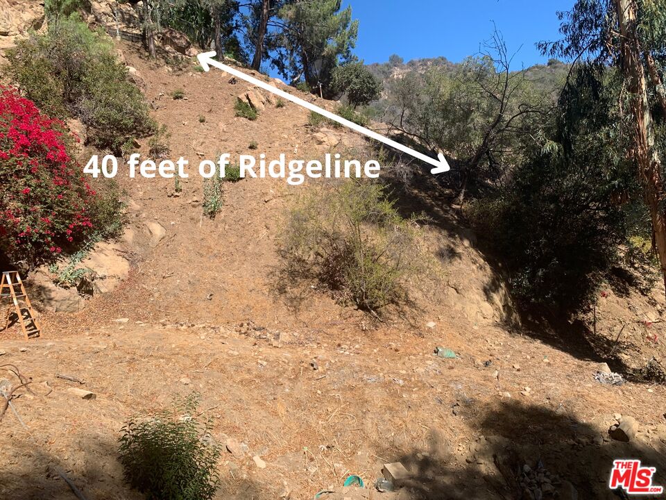 MLS #25619093 image #7