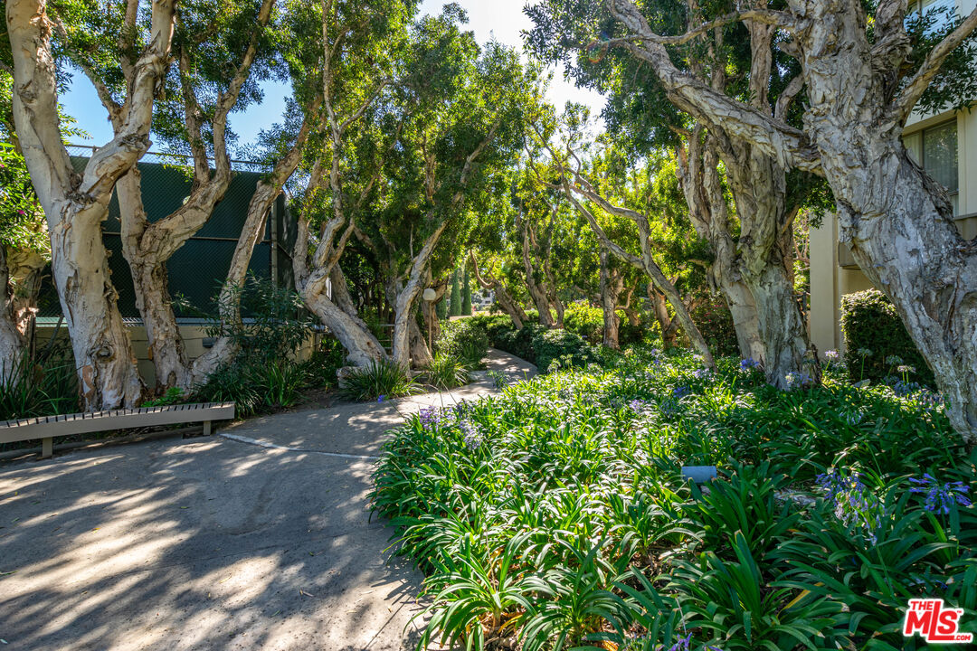 MLS #25621753 image #32