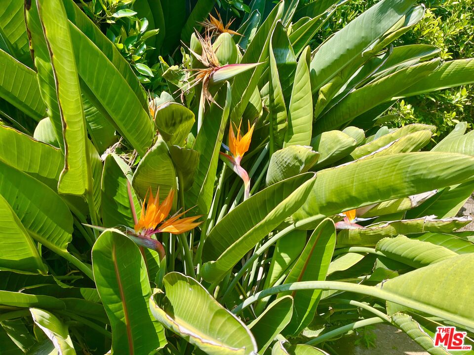 MLS #25624775 image #28