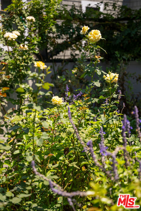 MLS #25625111 image #40