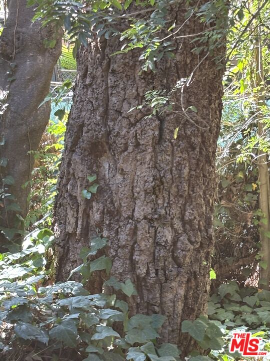 MLS #25625767 image #23