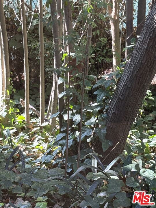 MLS #25625767 image #24