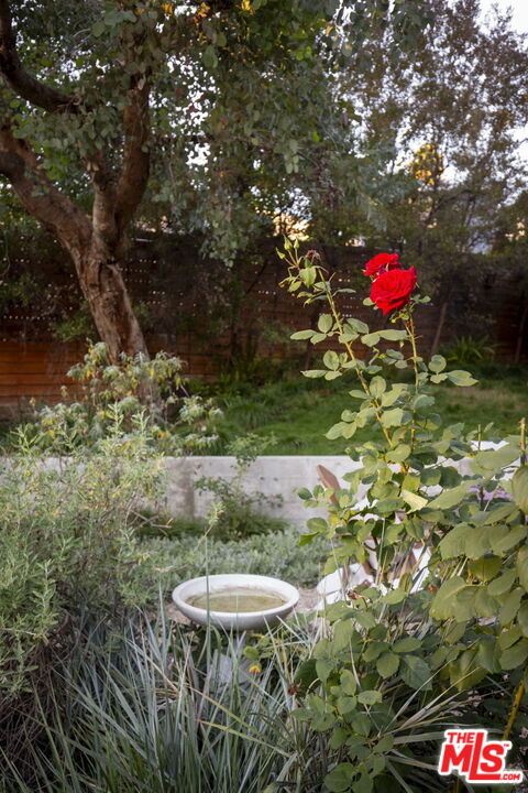 MLS #25628043 image #32