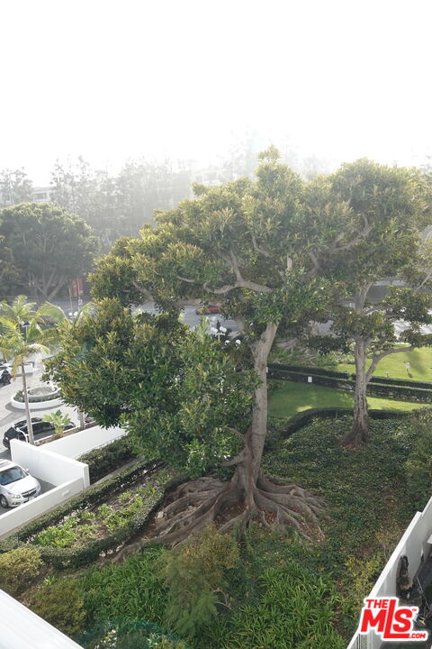 MLS #25631437 image #10