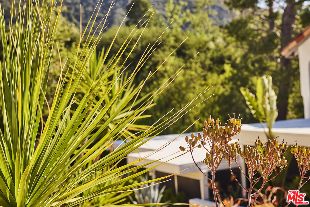 MLS #26632709 image #24