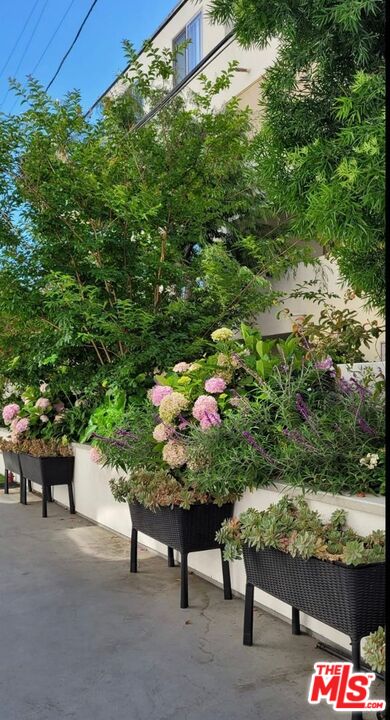 MLS #26637369 image #28