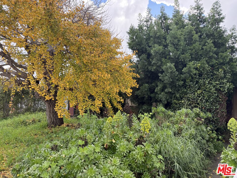 MLS #26638457 image #5