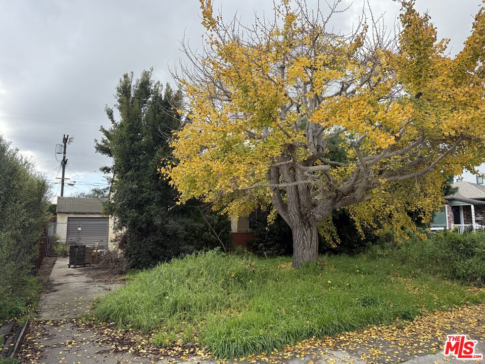 MLS #26638457 image #0