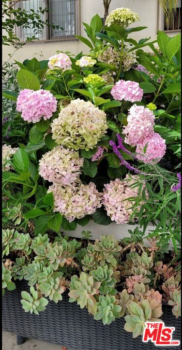 MLS #26639279 image #18