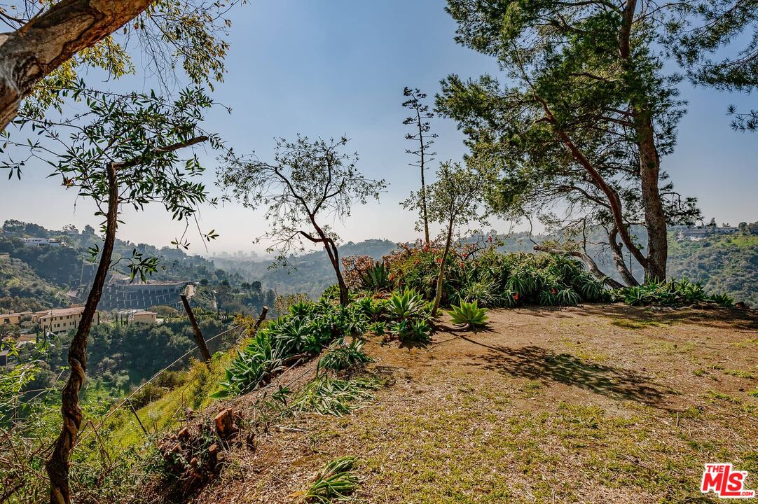 MLS #23-254565 image #5