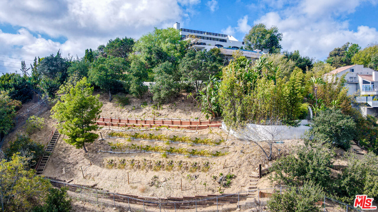 MLS #25-482391 image #41