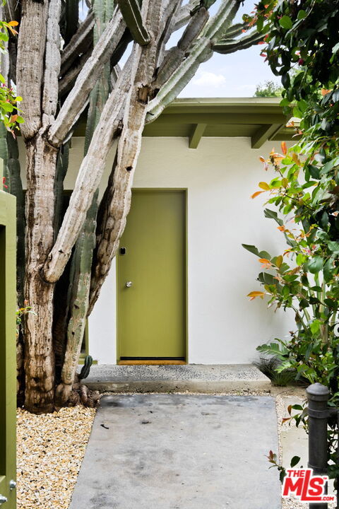 MLS #25-488369 image #5