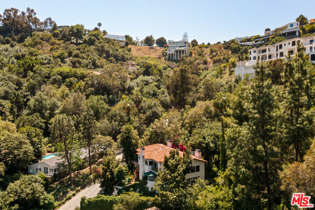 MLS #25549943 image #49