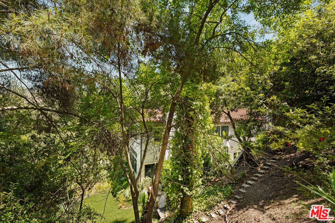 MLS #25549943 image #51