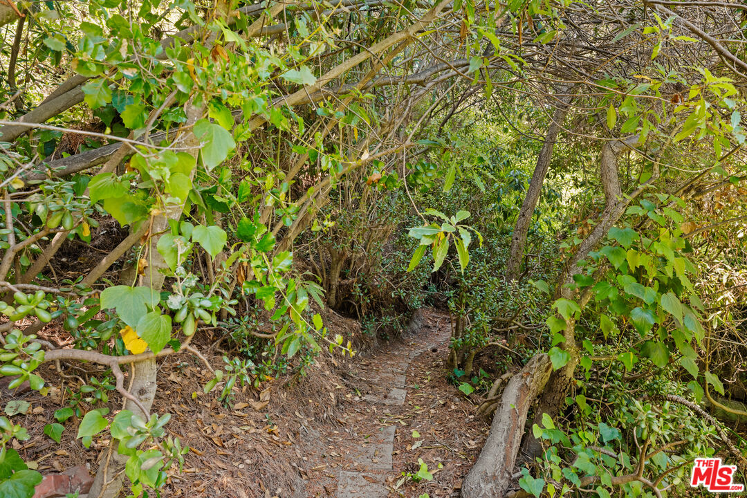 MLS #25549943 image #52