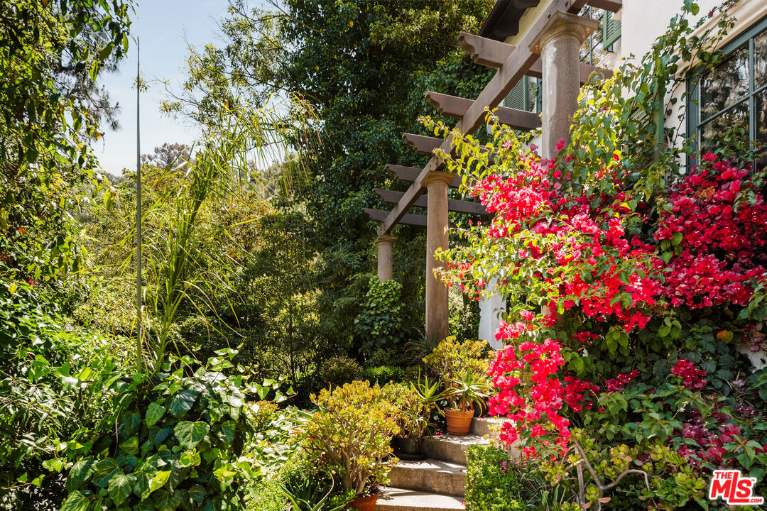 MLS #25549943 image #5