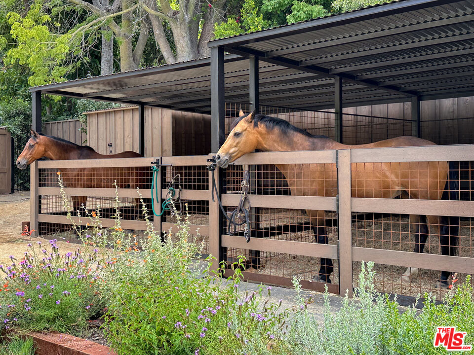 MLS #25555497 image #39