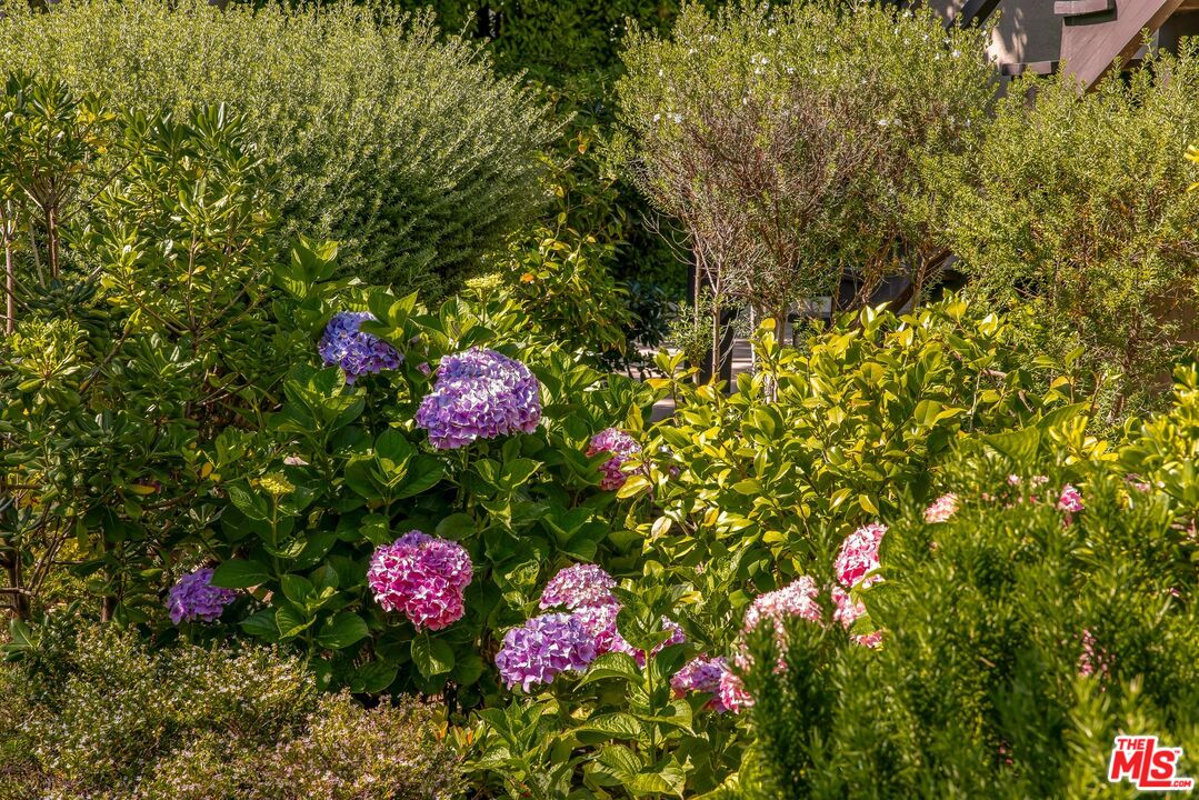 MLS #25556491 image #7