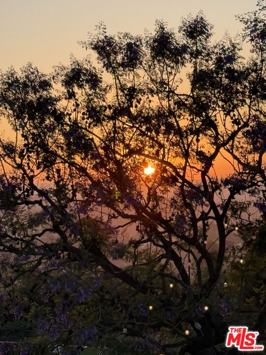 MLS #25562957 image #44