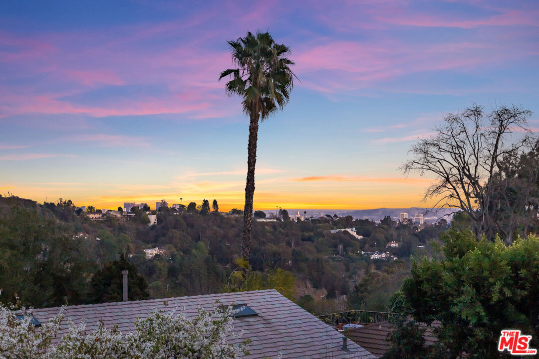 MLS #25570529 image #44