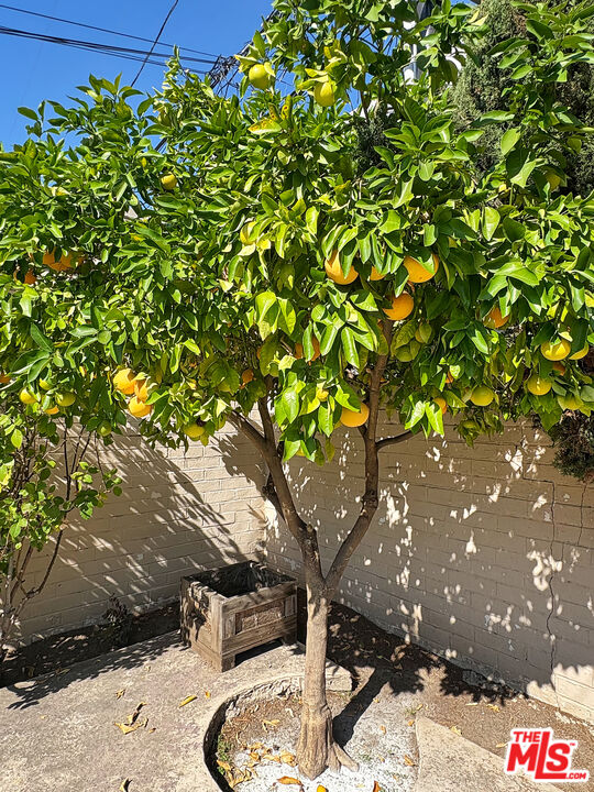 MLS #25578519 image #27