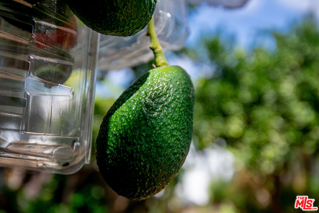 MLS #25590261 image #27