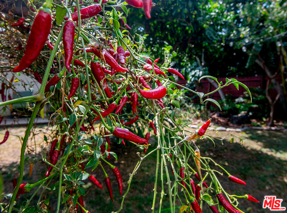 MLS #25590261 image #28