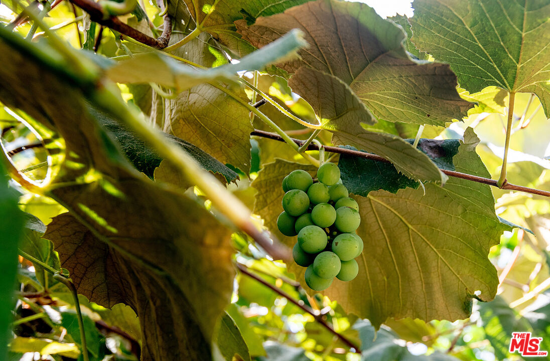 MLS #25590261 image #29