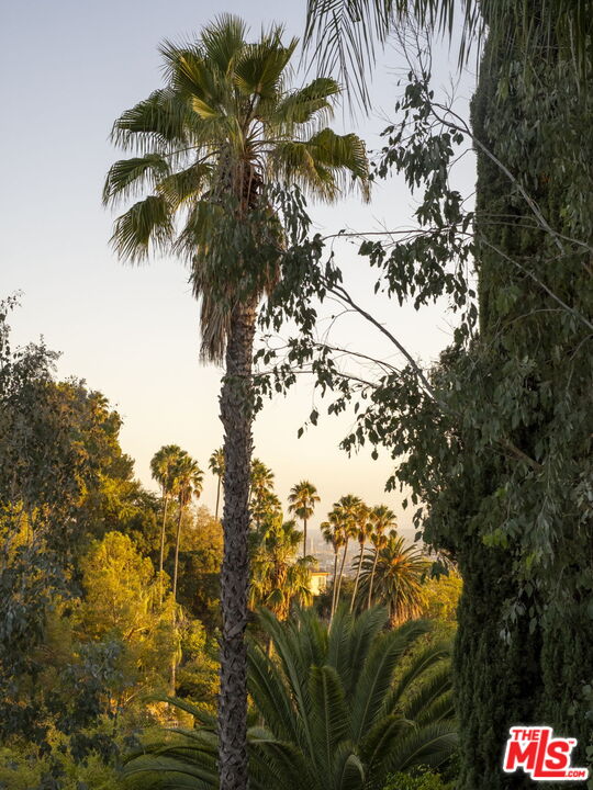 MLS #25616529 image #10