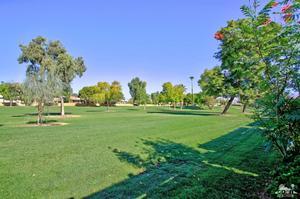 Image Number 1 for 41339 Woodhaven Drive in Palm Desert