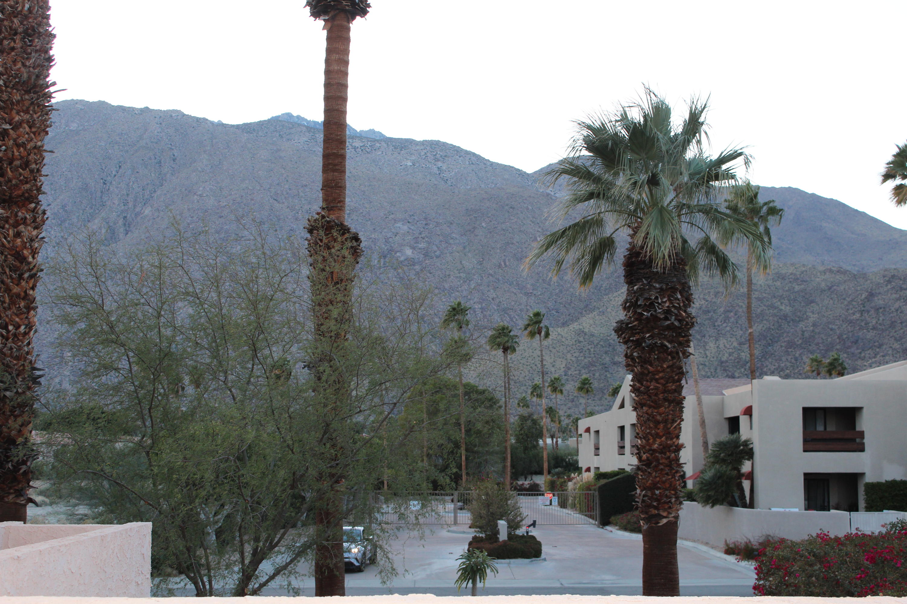 Image Number 1 for 280 Avenida Caballeros  #256 in Palm Springs