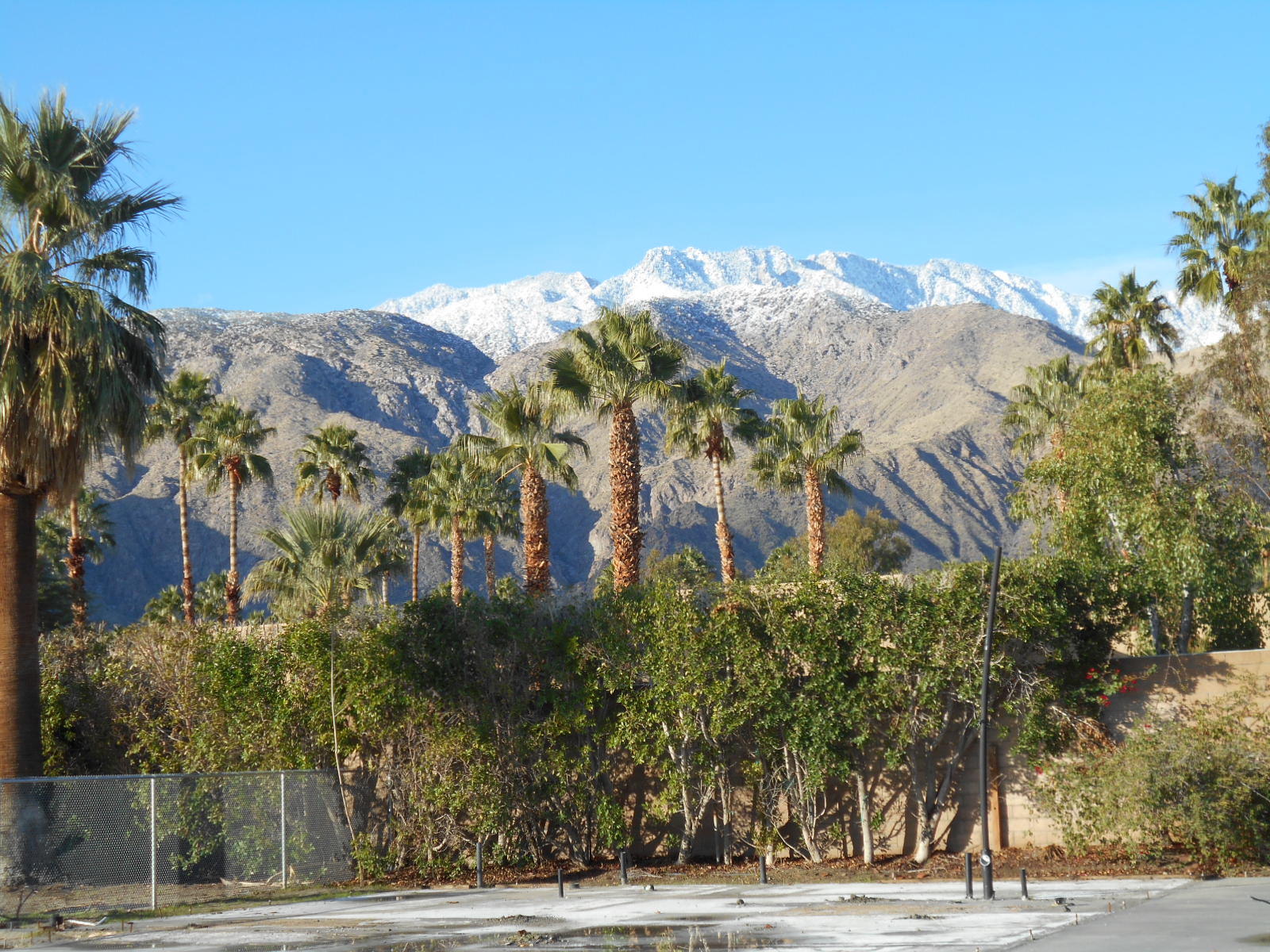 Image Number 1 for 506 E Miraleste Court in Palm Springs