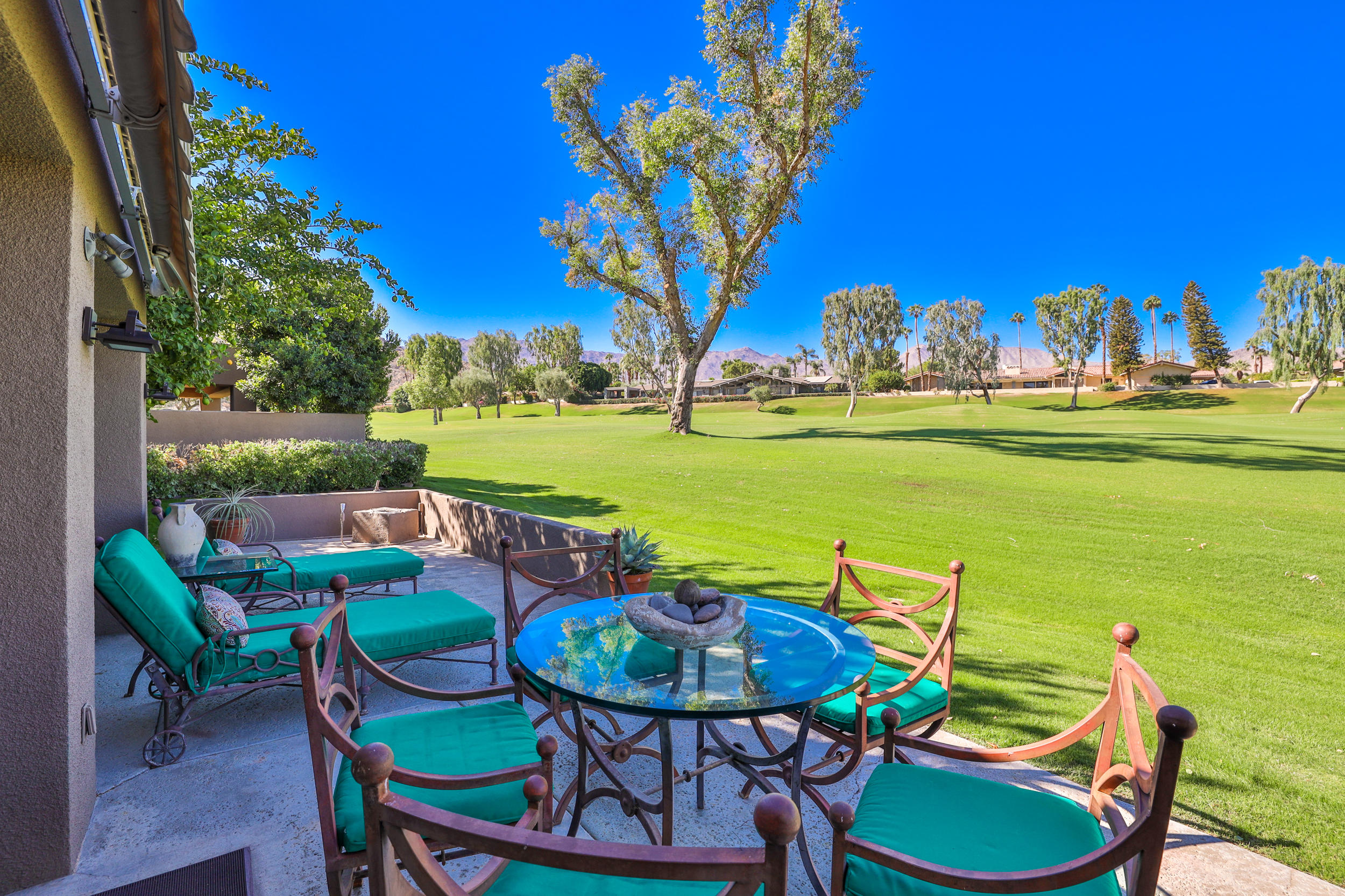Image Number 1 for 49175 Quercus in Palm Desert