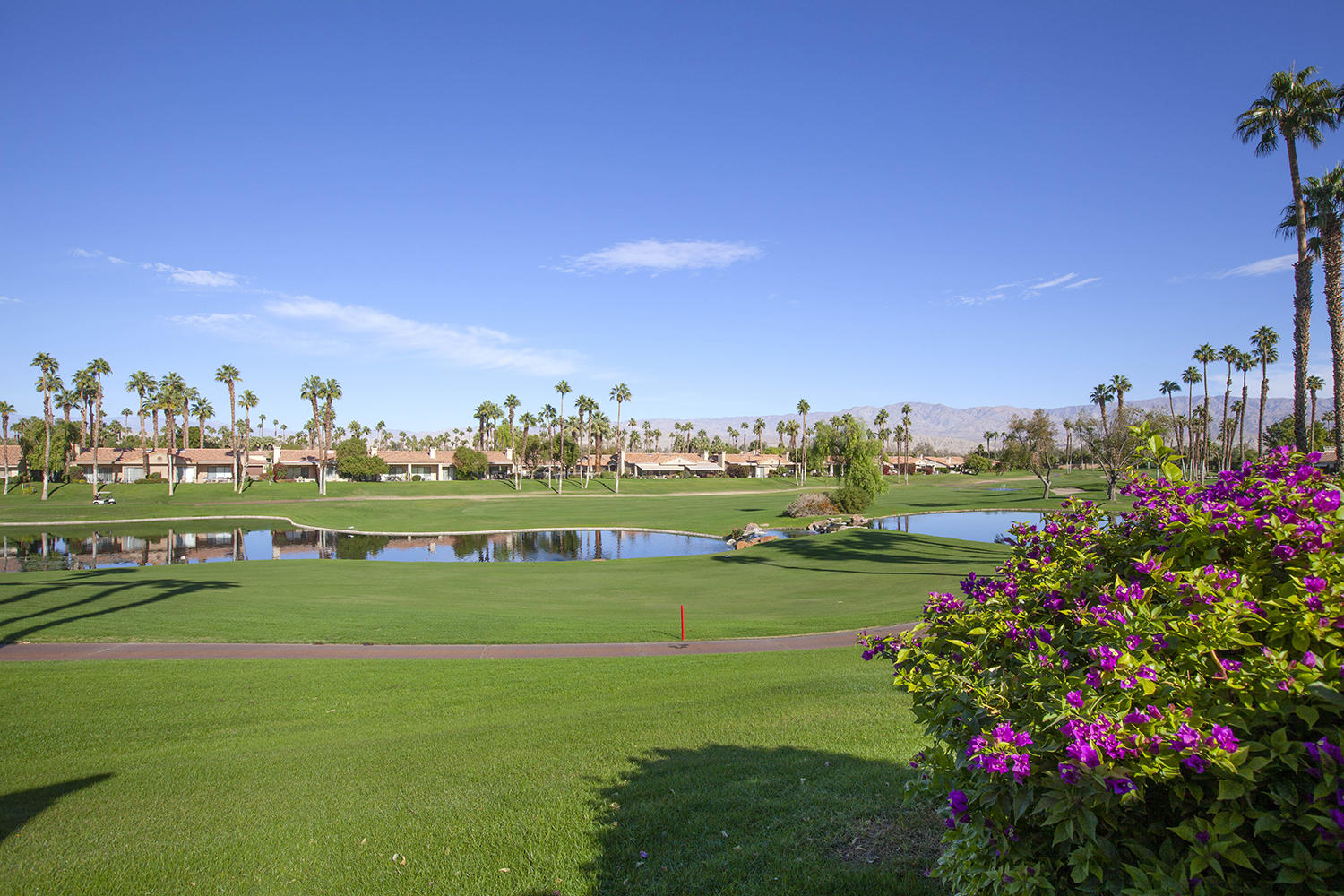 Image Number 1 for 38642 Wisteria Drive in Palm Desert
