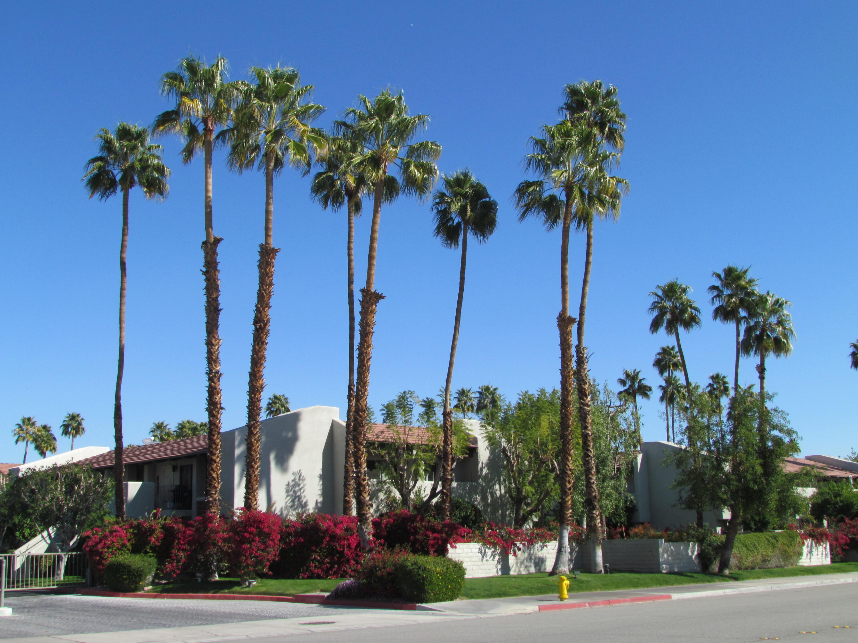 Image Number 1 for 1150 Amado RD #18c1 in Palm Springs